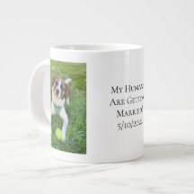 Hunde Foto Verlobung Mein Mensch wird verheiratet