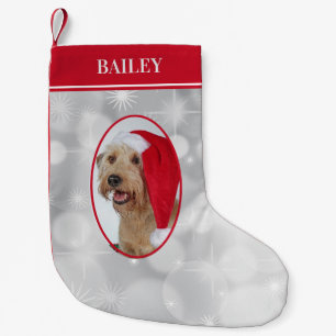 Hunde Foto Weihnachten Kleiner Weihnachtsstrumpf