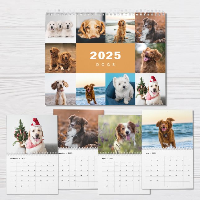 Hunde FotoCollage Modern 2025 Kalender (Von Creator hochgeladen)