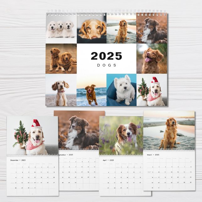 Hunde FotoCollage Modern 2025 Kalender (Von Creator hochgeladen)