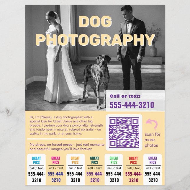 Hunde-Fotograf Flyer farbenfroh gelb  (Vorne)