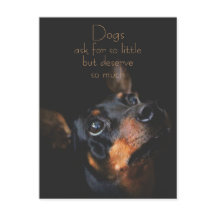 Hunde Fragte für so klein / Doberman Pinscher