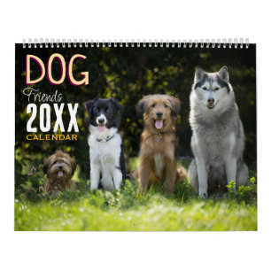 Hunde-Freunde-Wandkalender 2027 Tiere Kalender