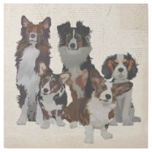 HUNDE