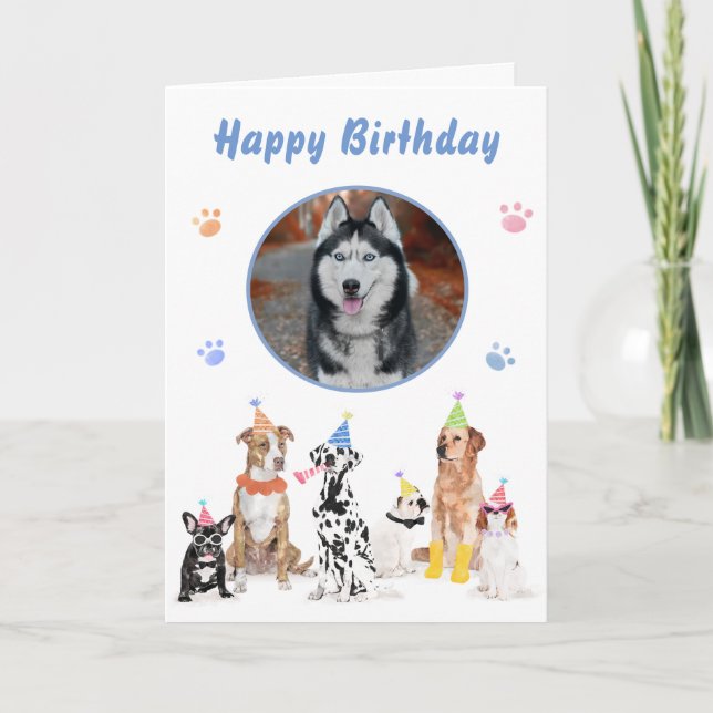 Hunde Geburtstagsparty Welpe Pawty Tiere Karte (Vorderseite)