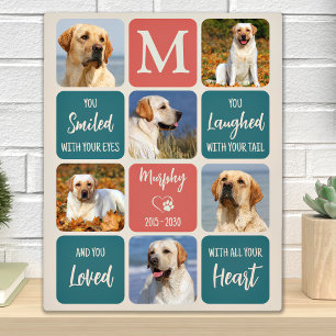 Hunde-Gedenkgutscheine Pet Loss Moderne Farben 6 F Fotoplatte