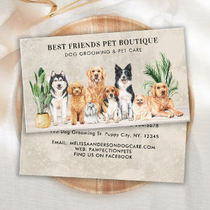 Hunde Groomer Haustier Betreuer Hunde Welpen Hunde Visitenkarte