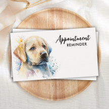 Hunde Groomer Haustier Sitter Gelbes Labrador Nied