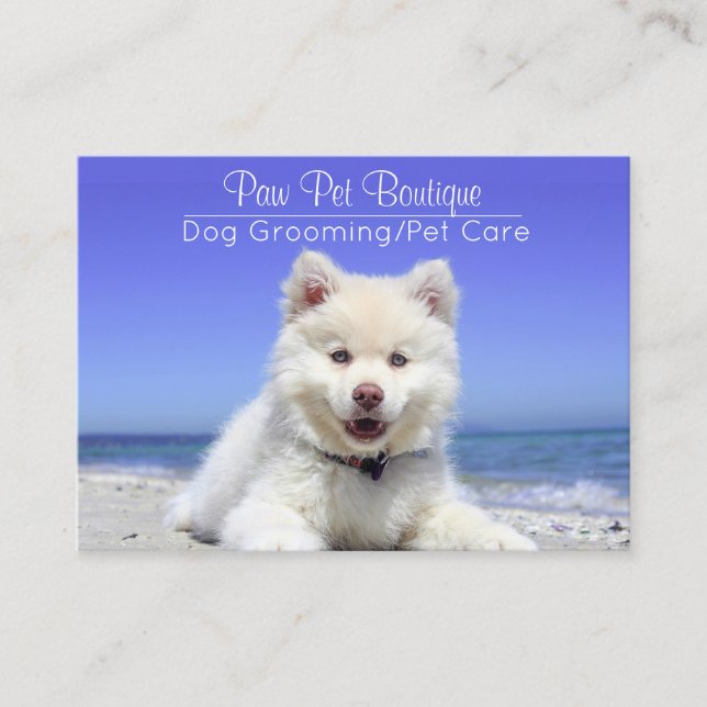 Hunde Groomer Pet Care Welpe Walker Visitenkarte (Vorderseite)