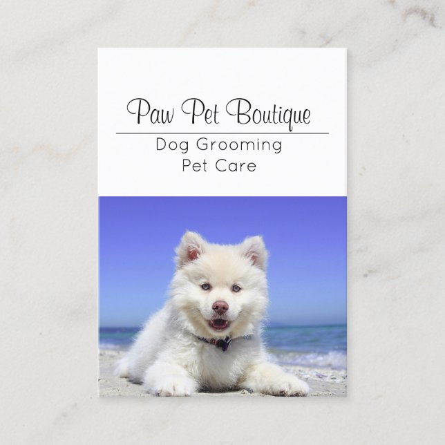 Hunde Groomer Pet Care Welpe Walker Visitenkarte (Vorderseite)