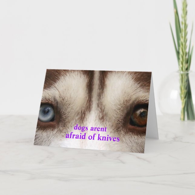 Hunde haben Angst Karte (Vorderseite)