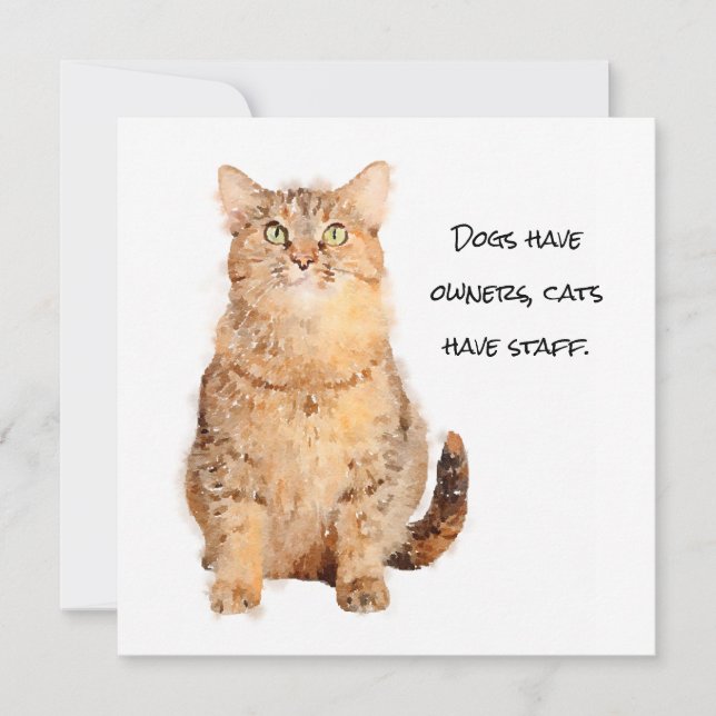 Hunde haben Besitzer, Katzen haben Mitarbeiter (Vorderseite)