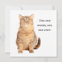 Hunde haben Besitzer, Katzen haben Mitarbeiter