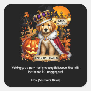 Hunde Halloween Pet in spukhaften Kostümen Quadratischer Aufkleber
