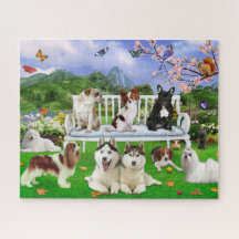 Hunde Heimtiere Landschaft mit Hunden