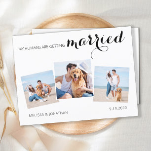 Hunde Hochzeit Foto Collage Save the Date Einladun