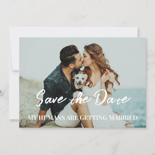 Hunde Hochzeit speichern das Datum Budget Einladung (Vorderseite)
