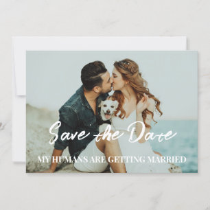 Hunde Hochzeit speichern das Datum Budget Einladung