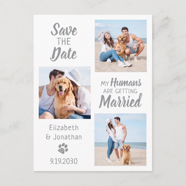 Hunde Hochzeitfokus-Collage Save the Date Ankündigungspostkarte (Vorderseite)