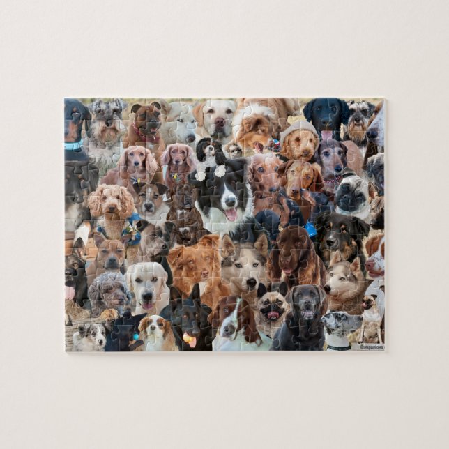 Hunde, Hunde und mehr Hunde (Horizontal)