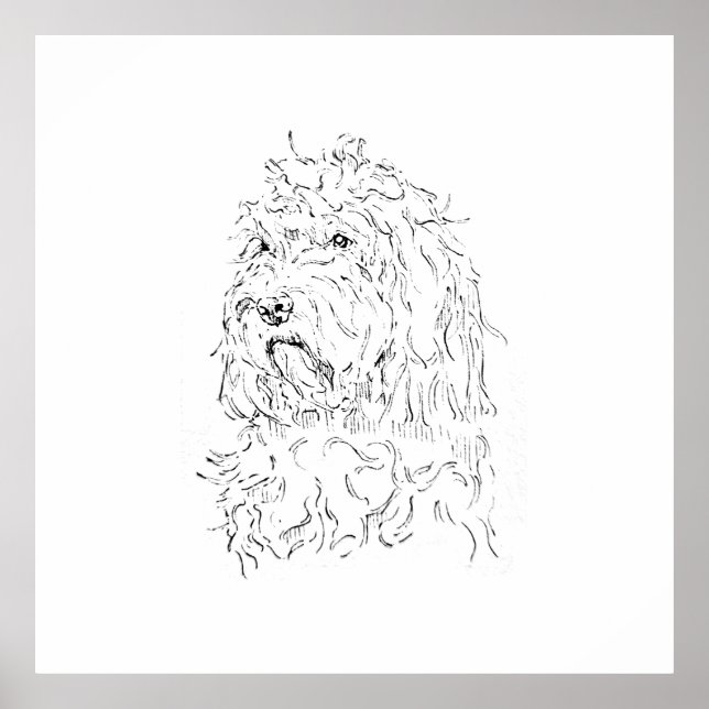 Hunde-Illustration, Wandkunst Cockapoo Poster (Vorne)