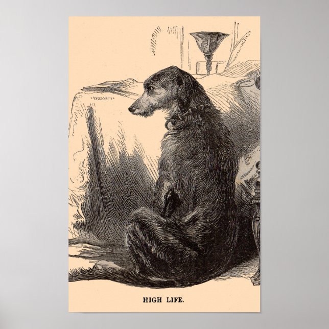 Hunde im 19. Jahrhundert drucken High Life Poster (Vorne)