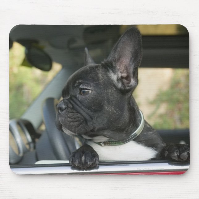 Hunde im Auto Mousepad (Vorne)