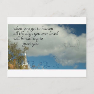 Hunde im Himmel Postkarte