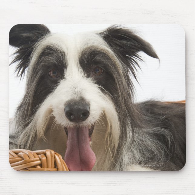 Hunde im Korb 2 Mousepad (Vorne)