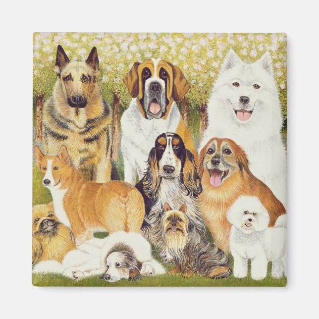 Hunde im Mai Magnet (Vorne)