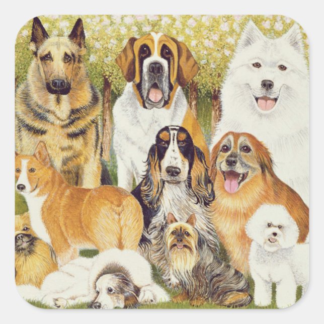 Hunde im Mai Quadratischer Aufkleber (Vorderseite)