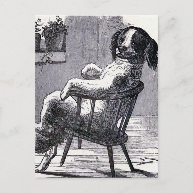 "Hunde im Stuhl" - Abbildung Postkarte (Vorderseite)