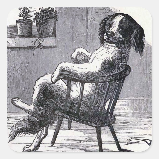 "Hunde im Stuhl" - Abbildung Quadratischer Aufkleber (Vorderseite)