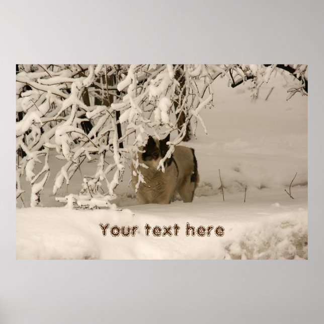 Hunde im Winter Poster (Vorne)