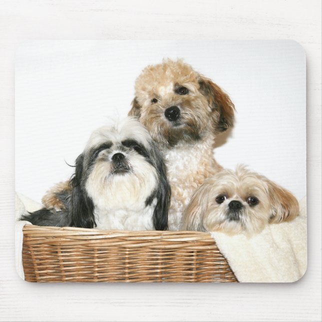 Hunde in einem Korb Mousepad (Vorne)