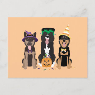 Hunde in Halloween-Kostümen Postkarte