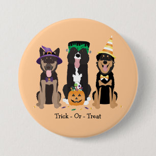 Hunde in Halloween-Kostümen probieren oder behande Button