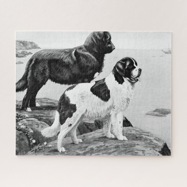 Hunde in Neufundland - Vintage Illustrationsschau (Horizontal)