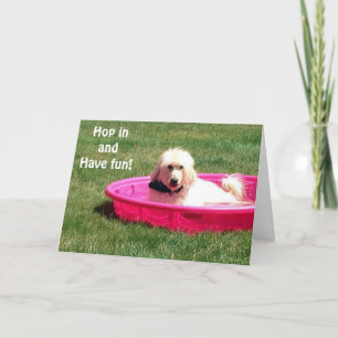 HUNDE IN POOL SAGT, JUMP IN UND GENIESSEN SIE IHRE KARTE