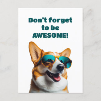 Hunde in Sonnenbrillen Vergessen Sie nicht, Phanta Postkarte