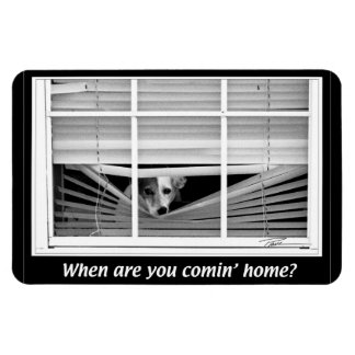 Hunde - Jack Russels - Wann R U B Zuhause? Magnet