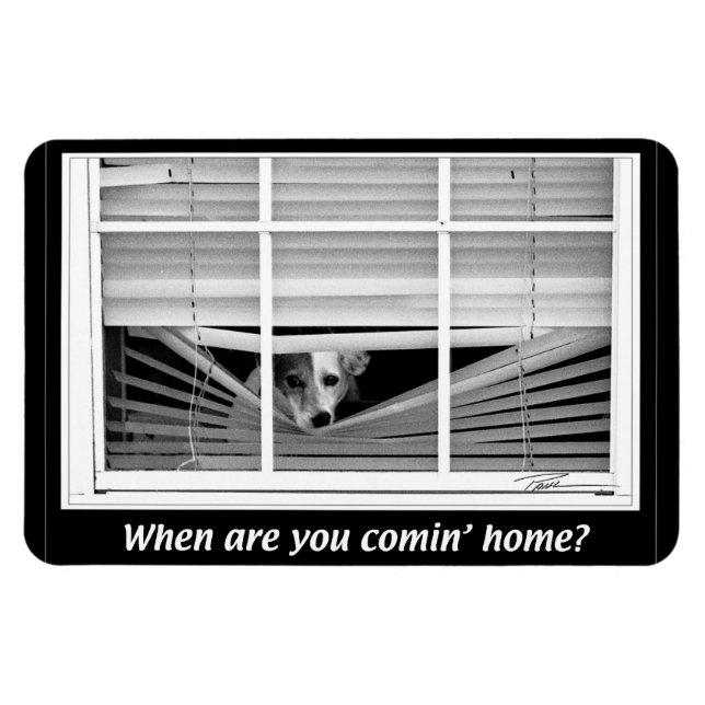 Hunde - Jack Russels - Wann R U B Zuhause? Magnet (Horizontal)