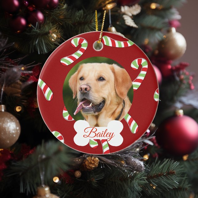 Hunde Katze Urlaub Foto Candy Cane anpassen Keramik Ornament (Von Creator hochgeladen)