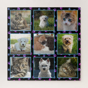 Hunde Katzen Blau Lila Rosa Pfotenabdrücke Haustie