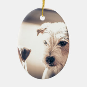 Hunde Keramik Ornament