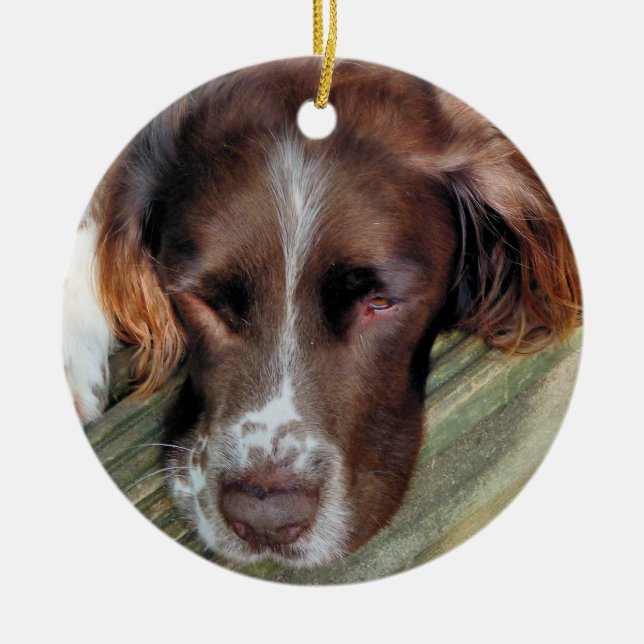HUNDE KERAMIKORNAMENT (Vorne)
