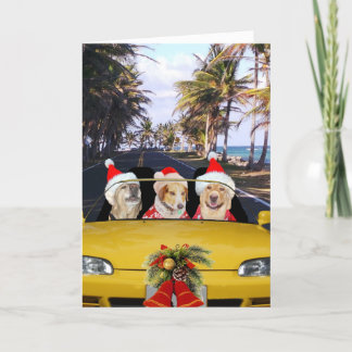 Hunde/Labradore in Cabriolet mit Weihnachtsmannmüt Feiertagskarte
