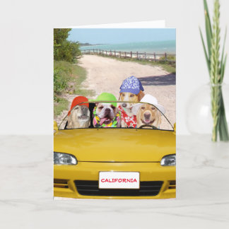 Hunde/Labradore Surfer Geburtstagskarte Karte