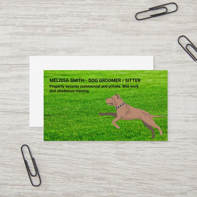 Hunde laufen im Gras | Hundepaws Visitenkarte (Vorderseite/Rückseite Beispiel)