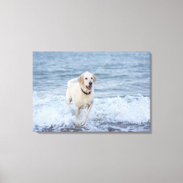 Hunde laufen im Wasser am Strand. Leinwanddruck (Vorderseite)